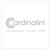 Cardinalini & C. Spa logo, Cardinalini & C. Spa contact details