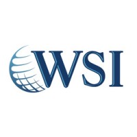 WSI Soluciones Digitales logo, WSI Soluciones Digitales contact details