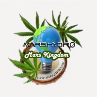 Mars Kingdom logo, Mars Kingdom contact details