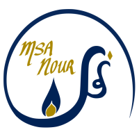 MSA Nour logo, MSA Nour contact details