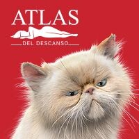 Grupo Comercial Atlas S.A. de C.V logo, Grupo Comercial Atlas S.A. de C.V contact details