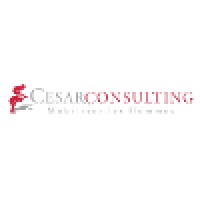 Cesar Consulting logo, Cesar Consulting contact details