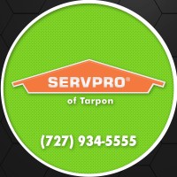 SERVPRO of Tarpon logo, SERVPRO of Tarpon contact details