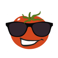 Hip Tomato, LLC logo, Hip Tomato, LLC contact details