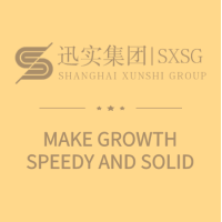 迅实集团  ·  Shanghai XunShi Group logo, 迅实集团  ·  Shanghai XunShi Group contact details