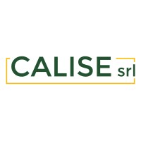 CALISE S.r.l. logo, CALISE S.r.l. contact details