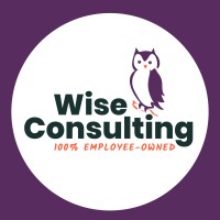 Wise Consulting Associates logo, Wise Consulting Associates contact details