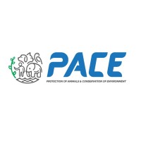 PACE Trust logo, PACE Trust contact details