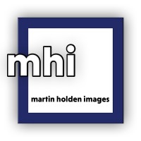 MARTIN HOLDEN IMAGES logo, MARTIN HOLDEN IMAGES contact details