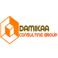 Damikaa Consulting Group logo, Damikaa Consulting Group contact details