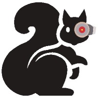 Black Squirrel A.I. logo, Black Squirrel A.I. contact details