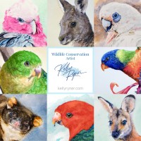 Kelly Ryner Wildlife Conservation Artist logo, Kelly Ryner Wildlife Conservation Artist contact details