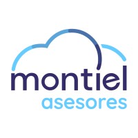 Montiel Asesores logo, Montiel Asesores contact details