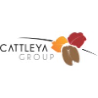 Cattleya Group SARL logo, Cattleya Group SARL contact details