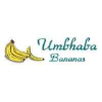 Umbhaba (Pty) Ltd logo, Umbhaba (Pty) Ltd contact details