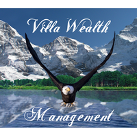 Villa Tax Advisory Group logo, Villa Tax Advisory Group contact details