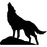 Wolfhunter Holdings logo, Wolfhunter Holdings contact details