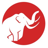 Mammoth Storage logo, Mammoth Storage contact details