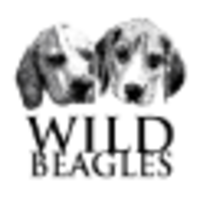 Wild Beagles, Inc. logo, Wild Beagles, Inc. contact details