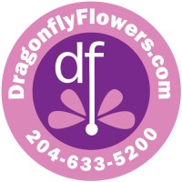 Dragonfly Flowers logo, Dragonfly Flowers contact details