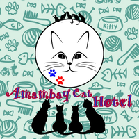 Amambay Cat Hotel logo, Amambay Cat Hotel contact details