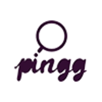 Pingg Digital logo, Pingg Digital contact details