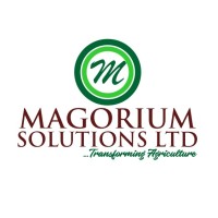 Magorium Solutions logo, Magorium Solutions contact details