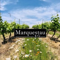 MARQUESTAU & co logo, MARQUESTAU & co contact details