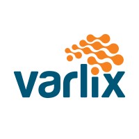 Varlix Mexico SA de CV logo, Varlix Mexico SA de CV contact details