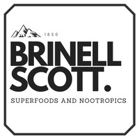 Brinell Scott logo, Brinell Scott contact details