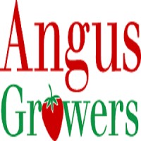 ANGUS GROWERS LIMITED logo, ANGUS GROWERS LIMITED contact details