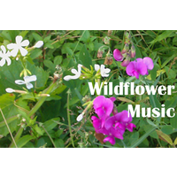 Wildflower Music Showcase Int'l Recording Competition for Piano (Solo/Duo), Strings, Chamber Music logo, Wildflower Music Showcase Int'l Recording Competition for Piano (Solo/Duo), Strings, Chamber Music contact details