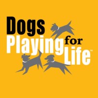 DOGS PLAYING FOR LIFE logo, DOGS PLAYING FOR LIFE contact details