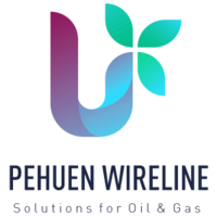 Pehuen Wireline Servicios Petroleros logo, Pehuen Wireline Servicios Petroleros contact details