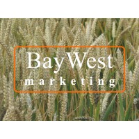 BayWest Marketing logo, BayWest Marketing contact details