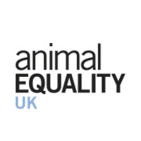 Animal Equality UK logo, Animal Equality UK contact details