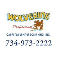 Wolverine Carpet Cleaning logo, Wolverine Carpet Cleaning contact details