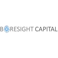 Boresight Capital logo, Boresight Capital contact details