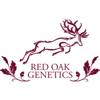 Red Oak Genetics logo, Red Oak Genetics contact details