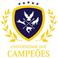 Universidade dos Campeões Consultoria & Treinamentos logo, Universidade dos Campeões Consultoria & Treinamentos contact details