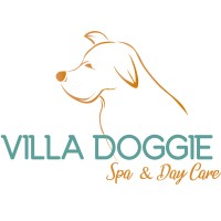 Villa Doggie Spa & Day Care logo, Villa Doggie Spa & Day Care contact details