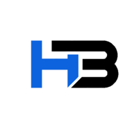 HIFIBLAZE SVC PVT LTD logo, HIFIBLAZE SVC PVT LTD contact details