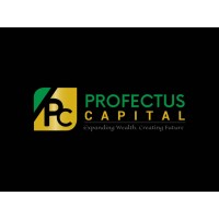 Profectus Capital Limited logo, Profectus Capital Limited contact details