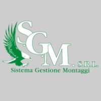 SGM srl logo, SGM srl contact details