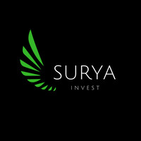 Surya Participações e Investimentos logo, Surya Participações e Investimentos contact details