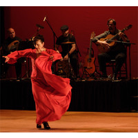 Mojácar and Studio Flamenco logo, Mojácar and Studio Flamenco contact details