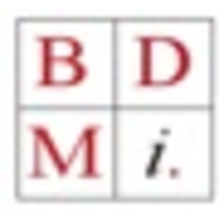 BDMi Business Development & Management International logo, BDMi Business Development & Management International contact details