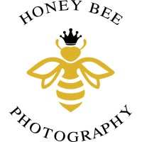 Honey Bee Photography logo, Honey Bee Photography contact details