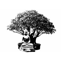 Ssurup Bonsai logo, Ssurup Bonsai contact details