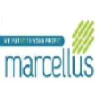 Marcellus infotech Pvt Ltd logo, Marcellus infotech Pvt Ltd contact details